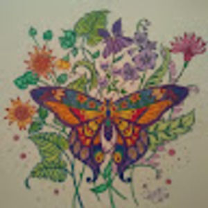 Meet your Posher, Carrie j